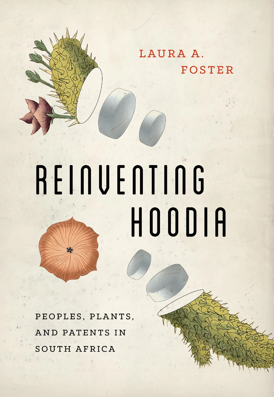 Reinventing Hoodia Book Cover