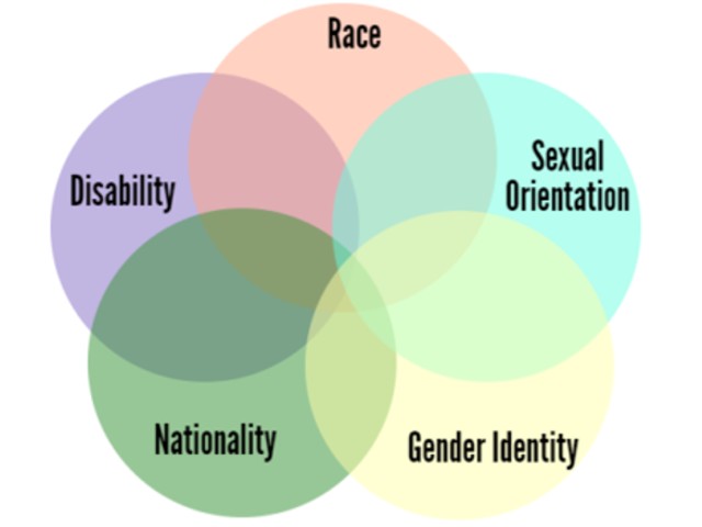 Gender, race, sexuality and the law diagram